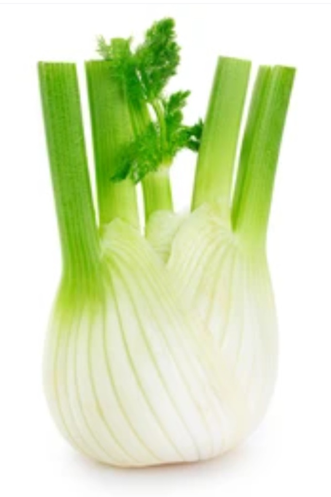 Fenouil it