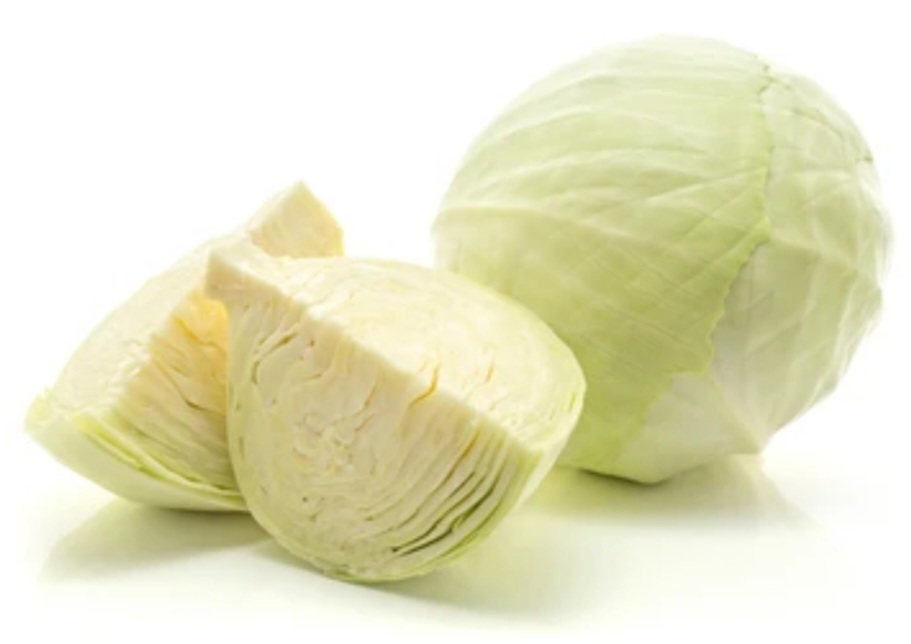 Chou blanc TBE
