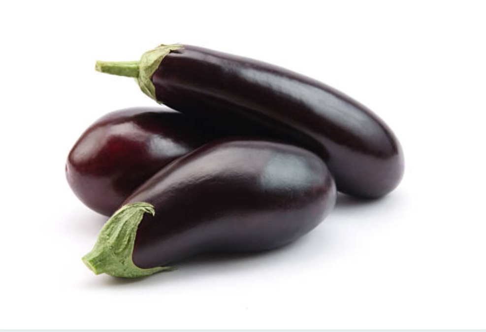 Aubergine TBE