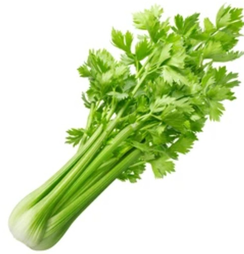 [cvpos] Céleri vert ES