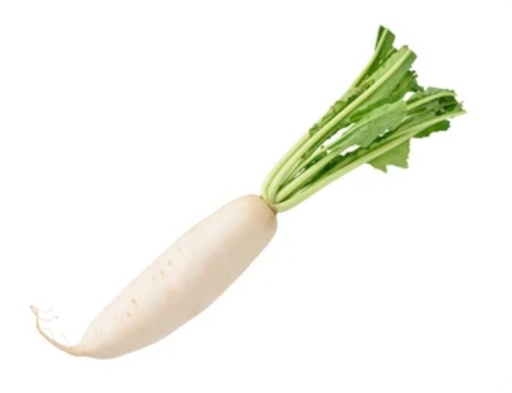 [rdb] Radis Blanc Daïkon TBE 