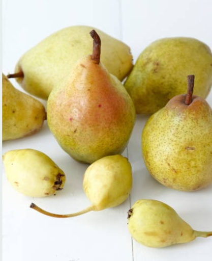 [pd] Poire Doyenné TBE