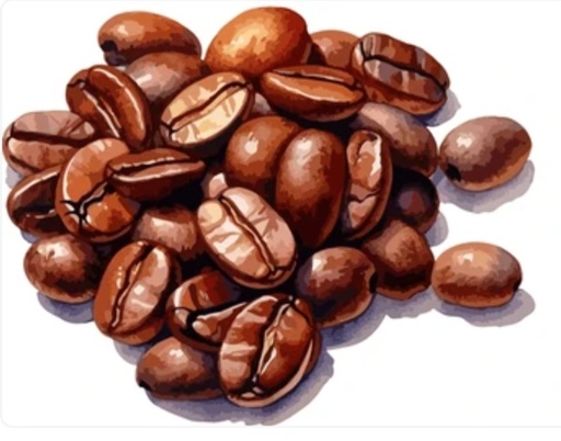 [PREKO001] Café Grain Preko 500g BE