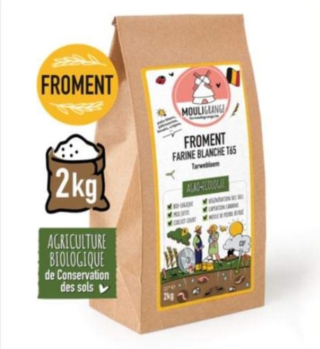 [F300] Farine Froment blanche T65 2kg 